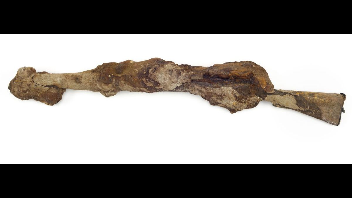Fusil Lee-Enfield britannique : Ce fusil fut retrouvé sur la plage de Zuydcoote (Nord) en 1970 à proximité de l’épave du HMS Crested Eagle. Ce navire fut endommagé par un bombardement le 29 mai 1940. Plus de trois cents soldats périrent dans l’incendie dû au bombardement. © Paris - Musée de l'Armée, Dist. RMN-Grand Palais / Emilie Cambier