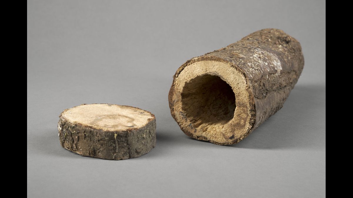 Bûche de bois évidée pour dissimuler un bâton d’explosif / Musée du déminage - Association des Démineurs de France / © Paris - Musée de l'Armée, Dist. RMN-Grand Palais / Marie Bour