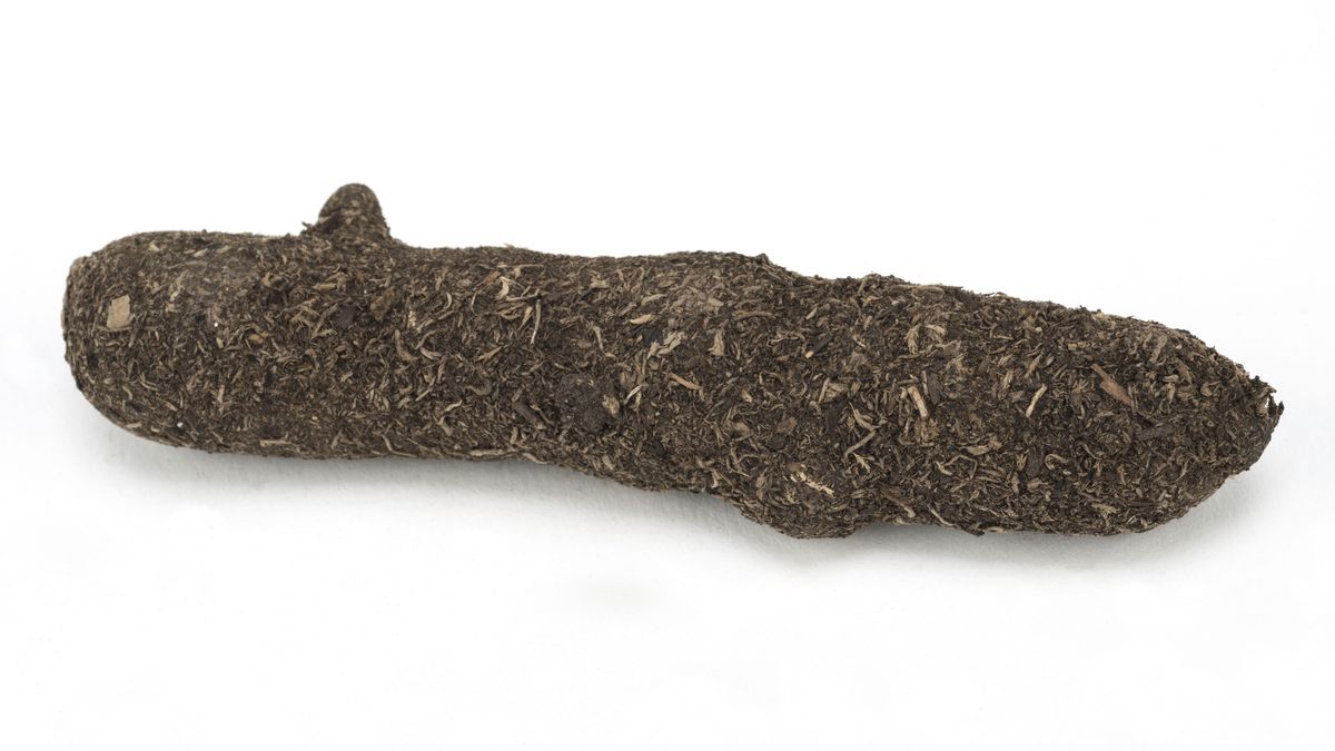 Détecteur sismique T-1151 dissimulé dans une fausse déjection canine, utilisé par la CIA sur la piste de l’aéroport Hô Chi Minh au Vietnam collection Jacques Baud © Paris - Musée de l'Armée, Dist. RMN-Grand Palais / Pascal Segrette