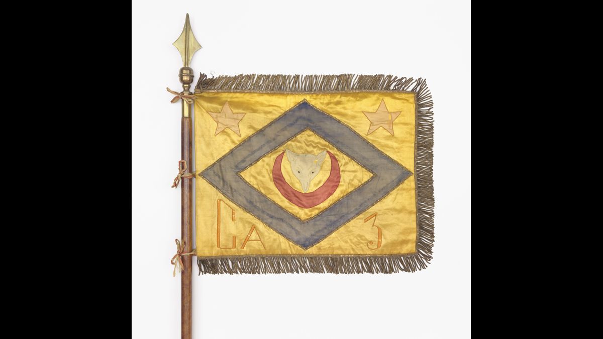 Fanion de la Compagnie d'appui (CA) 3 du 11e régiment de zouaves / Paris, musée de l’Armée, inv. 2016.39.1 © Paris - Musée de l'Armée, Dist. RMN-Grand Palais / Emilie Cambier