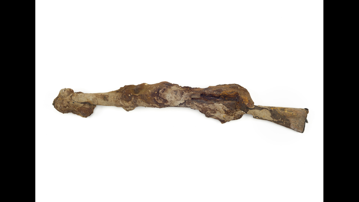 Fusil Lee-Enfield britannique  - Ce fusil fut retrouvé sur la plage de Zuydcoote (Nord) en 1970 à proximité de l’épave du HMS Crested Eagle. Ce navire fut endommagé par un bombardement le 29 mai 1940. Plus de trois cents soldats périrent dans l’incendie dû au bombardement./ Paris, musée de l'Armée © Paris - Musée de l'Armée, Dist. RMN-Grand Palais / Emilie Cambier